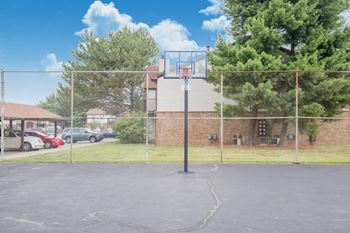 Basketball Court